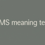 LMS Meaning in Text: What Does It Really Mean?
