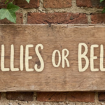 Bellies or Bellys: Which Is Correct?
